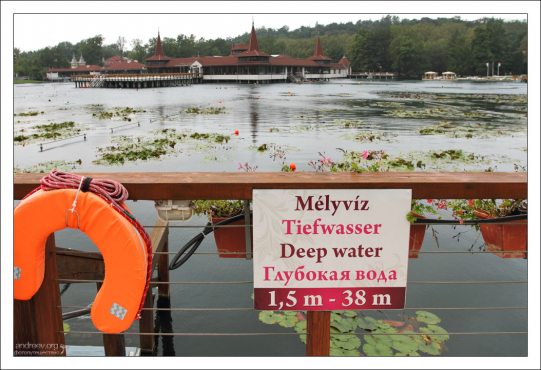 Вода в озере Хевиз полностью обновляется в течение 72 часов.