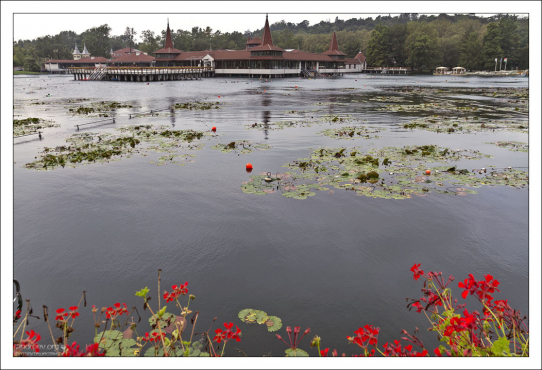 Heviz - самое большое термальное озеро в Европе по площади (47 500 м²) с температурой воды от 24 °C зимой до 36 °C летом.