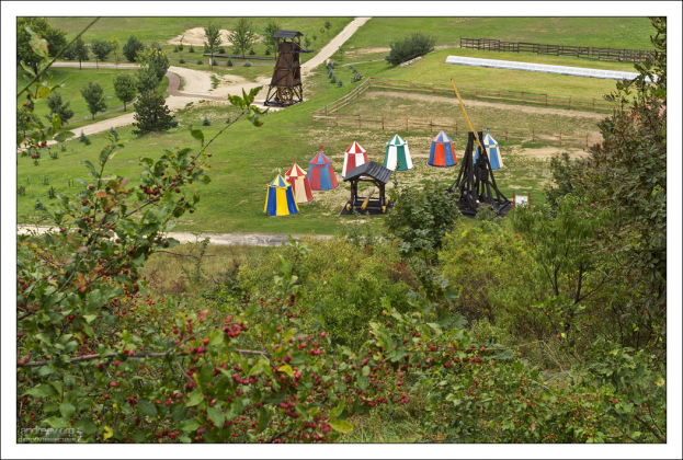Лужайка перед замком, с разноцветными шатрами, катапультой, мощным тараном, конюшнями, рыцарской ареной.