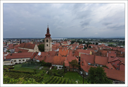 Вид с высоты замка на Птуй и Птуйское озеро.