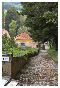 На пути из Птуйского града в центр города.