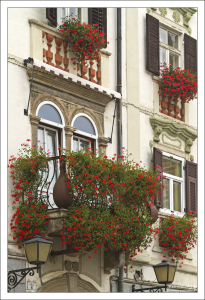 Украшенные цветами фасады домов в Птуе.