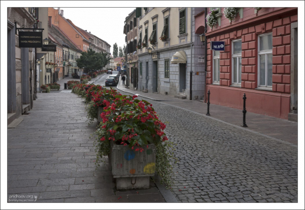 Вдоль по Дравской улице.