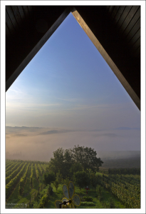 Вид с террасы дома на виноградник.