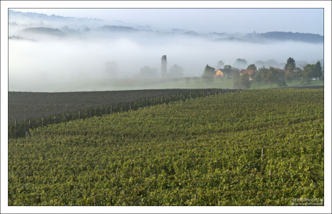 Деревня Zelezna Gora в тумане.