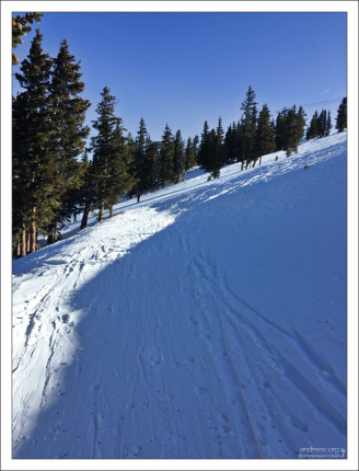 Тропа, проходящая через лес White River National Forest.