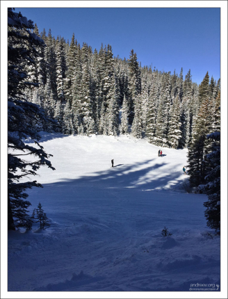 Свежевыпавший снег и спуск через лес.
