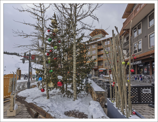 Новогодние ёлки на курорте Copper Mountain.