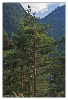 Триглав является водоразделом между бассейнами Адриатического и Чёрного моря.