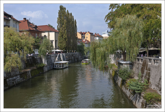 Зеленые берега Любляницы.