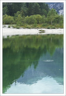 Вода в Триглавских озерах зеленая из-за водорослей.