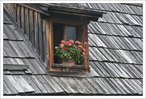 В Халльштатте обожают герань.