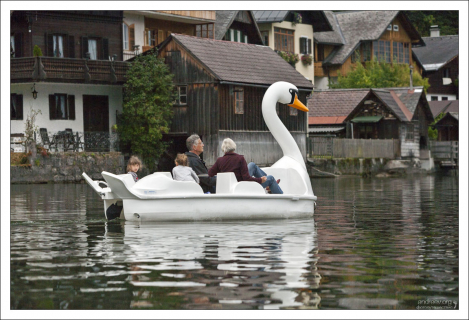 Катамаран в виде лебедя.
