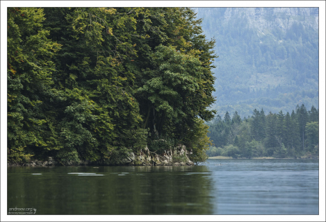Заросшие берега озера Гальштаттзее.