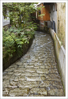 Русло халльшттатской реки.