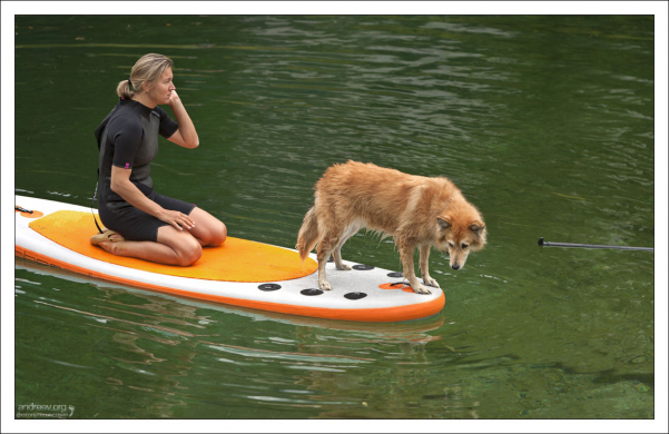 Любительницы водных процедур.