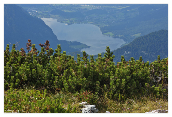 Озеро Гальштаттзее имеет вытянутую форму.