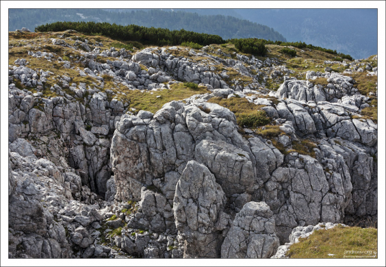 Горный массив Дахштайн состоит из гипса, известняка, вкраплений мрамора, доломита, и каменной соли.