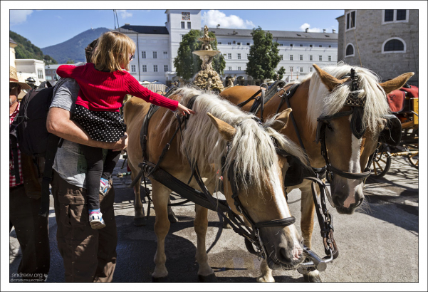 Зальцбургский фиакр.