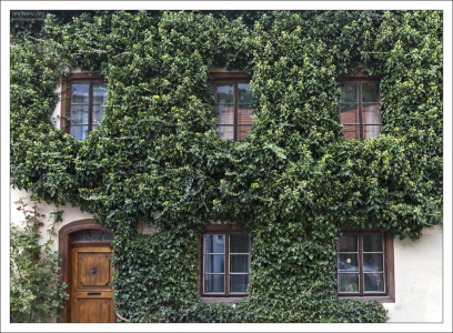 "Бородатая" стена.