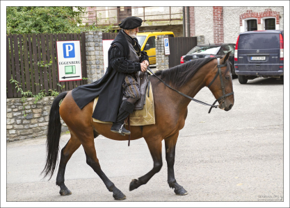 Актер исторического сериала.