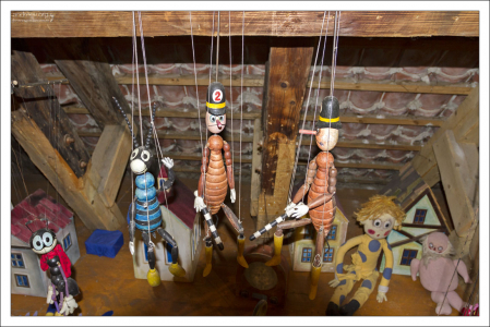 Насекомые-полицейские.