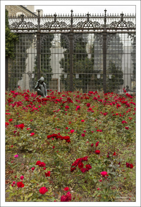 Розарий на территории замка Глубока.