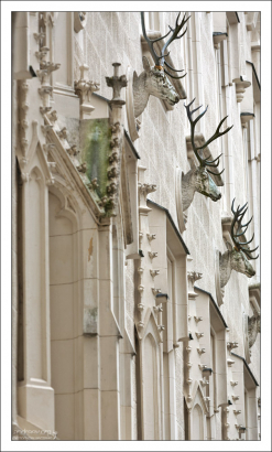 Охотничьи трофеи на стенах замка.