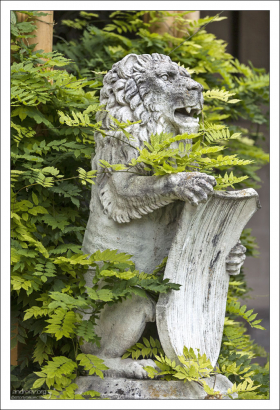 Лев как сивол храбости.