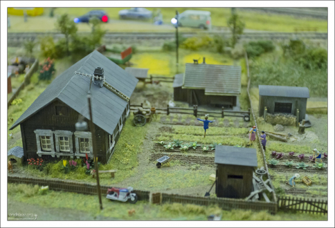 Капуста и пугало.