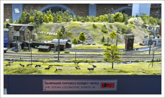 Общее количество единиц подвижного состава — более 2700, из них 250 локомотивов.