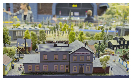 Областной родильный дом.