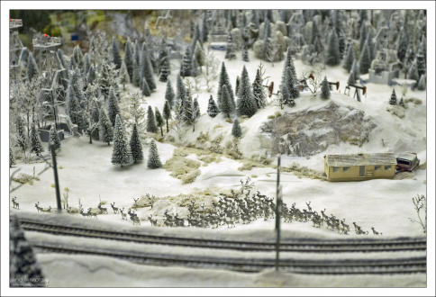 Заполярье: стадо северных оленей.