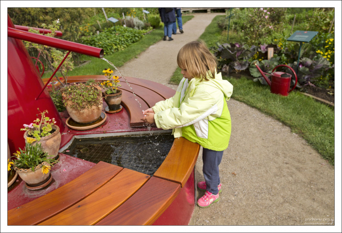 Саша у фонтана в огороде.
