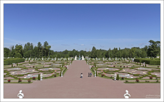 Центральная аллея Нижнего сада в Ораниенбауме.