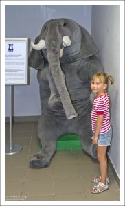 Огромный плюшевый слон был произведен в середине 80-х г.г. по спецзаказу Центрального Детского магазина.