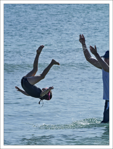 Вечерние ныряния.