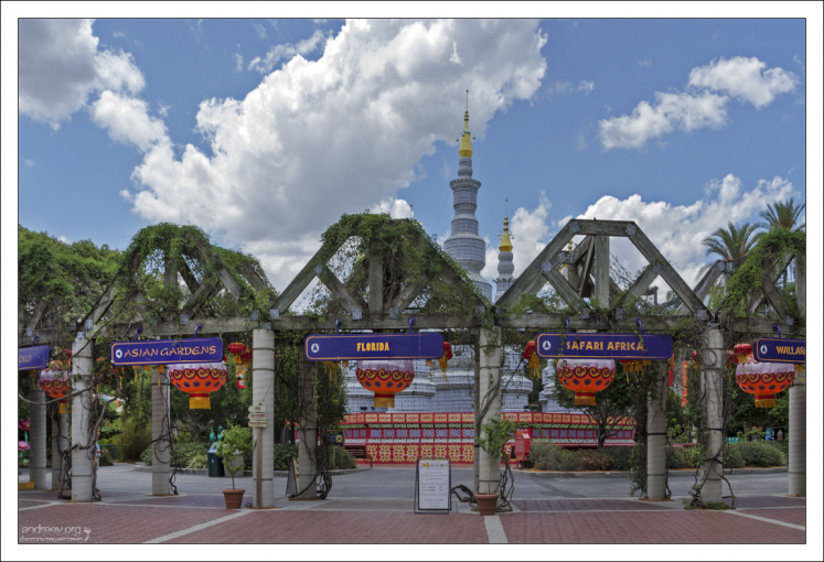 Американский зоопарк Lowry в китайских декорациях.