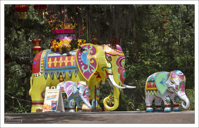 Во время китайского фестиваля Zoominations в зоопарке Lowry.