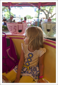 Внутри чашки на аттракционе Mad Tea Party.