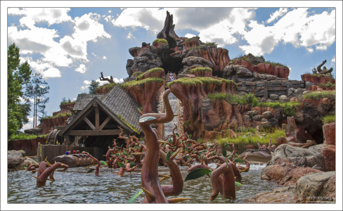 Водный аттракцион Splash Mountain - сплав на бревне.