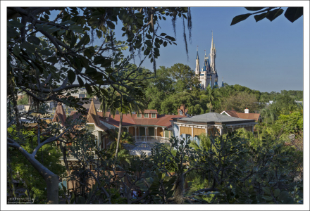 Замок Золушки, видимый с высоты дерева из фильма "Swiss Family Robinson".