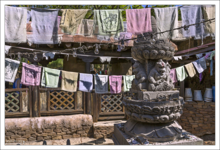 В очереди на роллер-костер Expedition Everest.