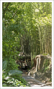 Во время сафари Kilimanjaro Safaris.