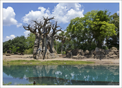 Часть парка, где живут слоны.