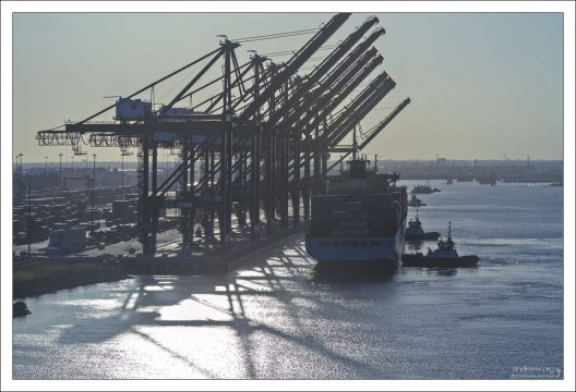 Ряд стреловых кранов в порту Галвестона.