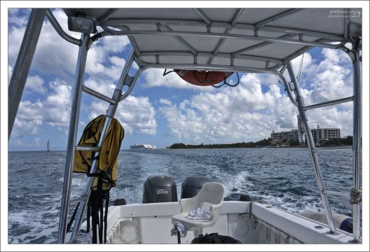 На катере от компании “Albatros Charters”.