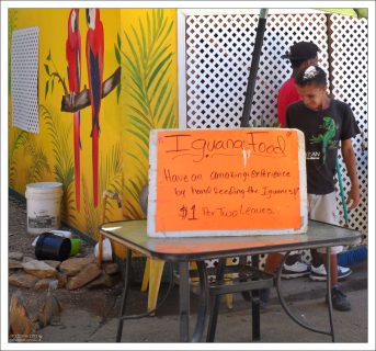 Ферма по разведению игуан “Arch’s Iguana and Marine Park”.