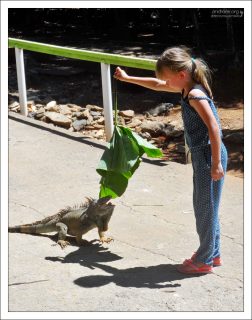 Атака на лист.