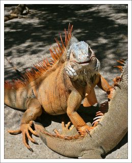 Работа на камеру :)